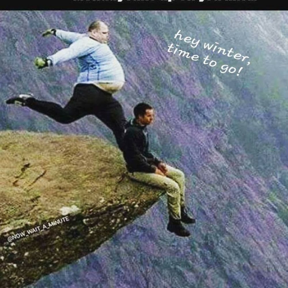 Meet your Posher, Carrie